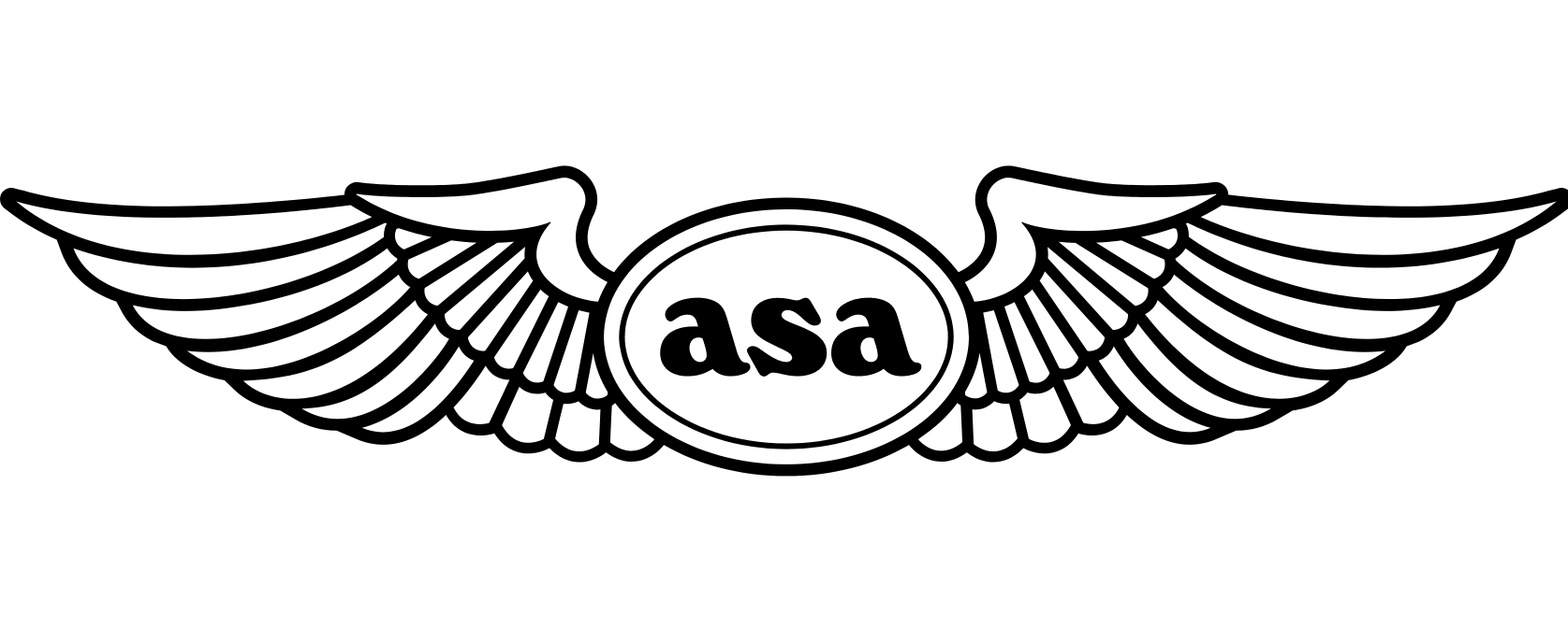 Asa Far / Aim Handbook 2023 ASA-23-FR-AM-BK