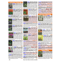A Plant For Every Day Of The Year. By Philip 9274308 for Hamilton Baby Great Lakes Aircraft A Plant For Every Day Of The Year. By Philip 9274308 for Hamilton Baby Great Lakes Aircraft