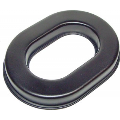 AAP | EAR SEAL