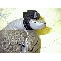 Fingerlight/Nvg Green FL-5