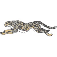 Cheetah Decal Mdy GL-002L Cheetah Decal Mdy GL-002L
