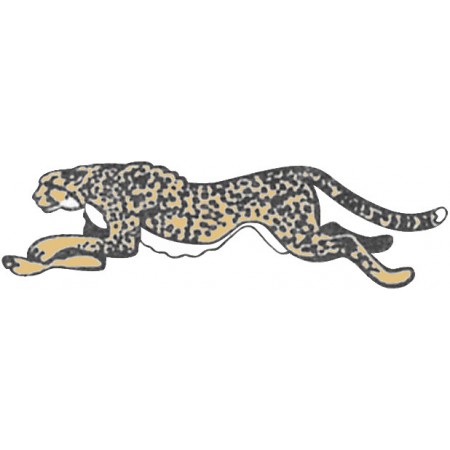 Cheetah Decal Mdy GL-002L Cheetah Decal Mdy GL-002L
