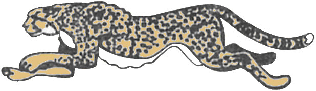 Cheetah Decal Mdy GL-002L