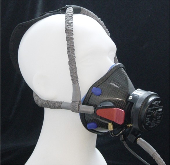 Aerox Diluter Demand Mask 4110-725-002
