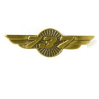 BOEING 737 WINGS PIN 580080020085