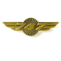 BOEING 747 WINGS PIN 580080020084