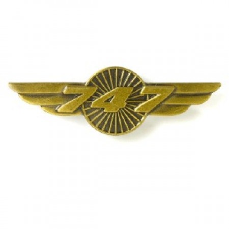 BOEING 747 WINGS PIN 580080020084