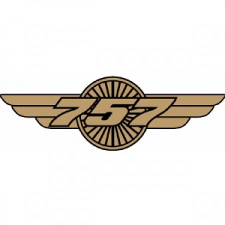 BOEING 757 WINGS PIN 580080020121