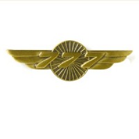 BOEING 777 WINGS PIN 580080020083