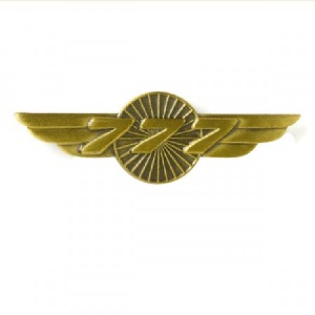 BOEING 777 WINGS PIN 580080020083