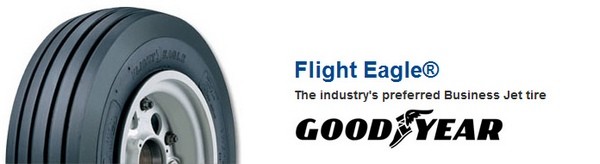 Aog Goodyear Flight Eagle Tire 22X8.00-10 12PLY 220K28-1 301-402-860