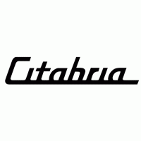Citabria Decal Mdy BL-010 Citabria Decal Mdy BL-010