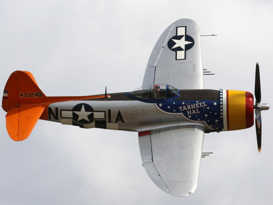 P-47D 95 inch 2.41m 1/5th Scale Arf, with Electric Retracts & Cockpit, Tarheel Hal Prc P47D-P02-LG