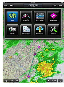 Garmin Pilot App (pro One-Year Subscription) App-St/Gf