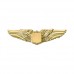 Small 1/Gold/Wings AV-WING1-THG