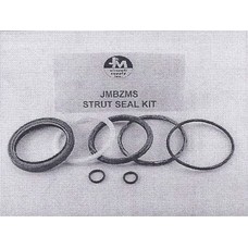 Main Strut Seal Kit, for Beechcraft Jm Jmbzms
